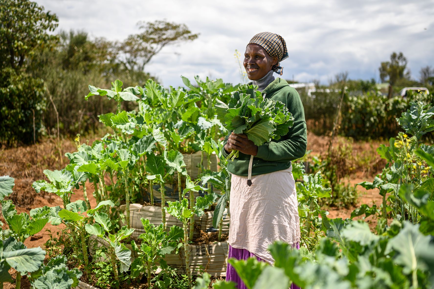 Empowering Women Gardening： Tips and History of Female Gardeners